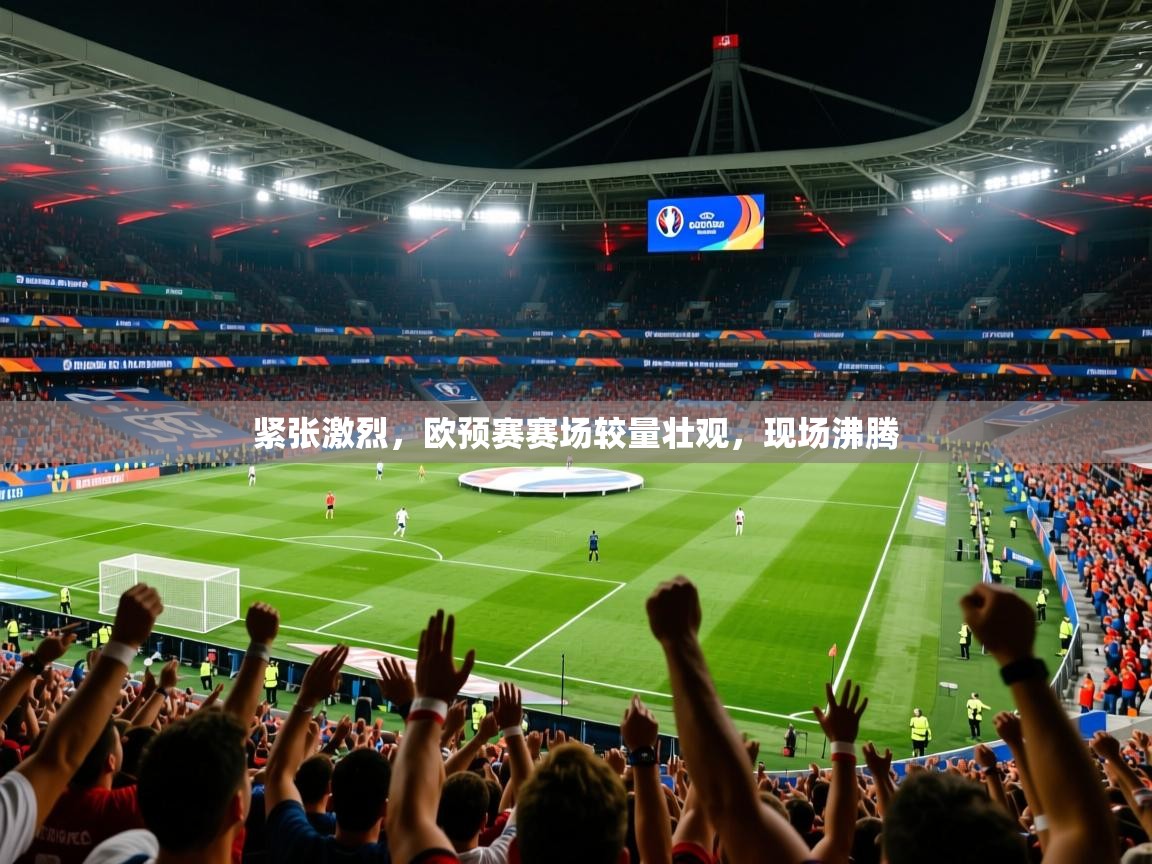 紧张激烈,欧预赛赛场较量壮观,现场沸腾 第4张